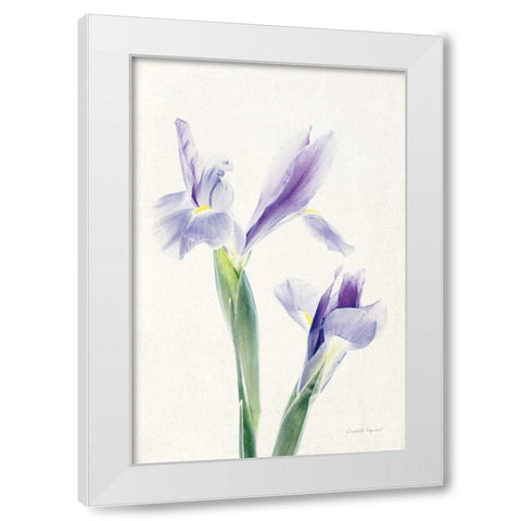 Light and Bright Floral III White Modern Wood Framed Art Print by Urquhart, Elizabeth