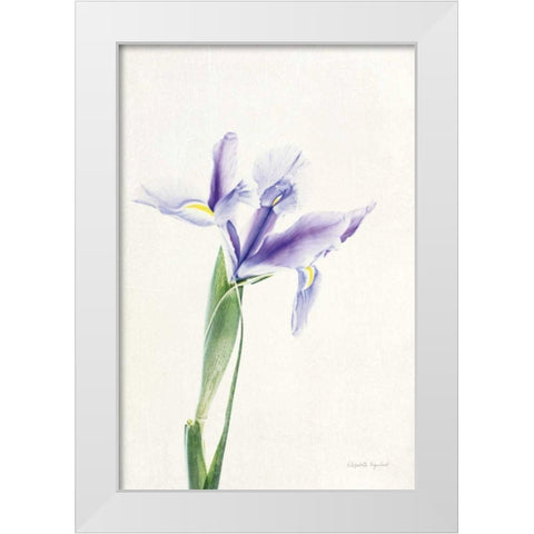 Light and Bright Floral IV White Modern Wood Framed Art Print by Urquhart, Elizabeth