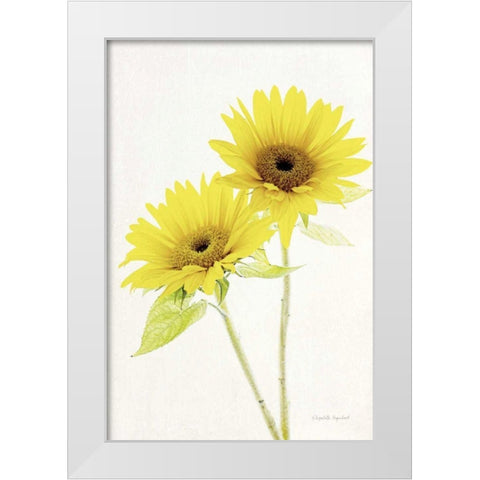 Light and Bright Floral VII White Modern Wood Framed Art Print by Urquhart, Elizabeth