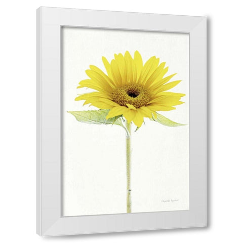 Light and Bright Floral VIII White Modern Wood Framed Art Print by Urquhart, Elizabeth