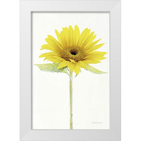Light and Bright Floral VIII White Modern Wood Framed Art Print by Urquhart, Elizabeth