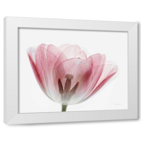 Inside Out III White Modern Wood Framed Art Print by Urquhart, Elizabeth