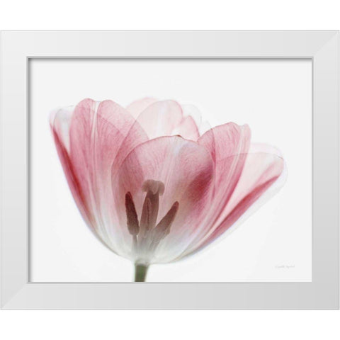 Inside Out III White Modern Wood Framed Art Print by Urquhart, Elizabeth