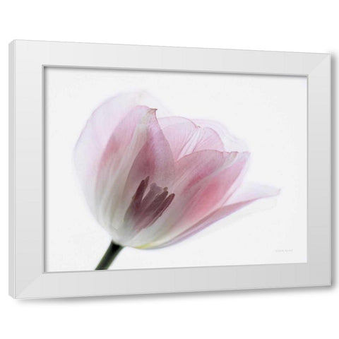 Inside Out IV White Modern Wood Framed Art Print by Urquhart, Elizabeth