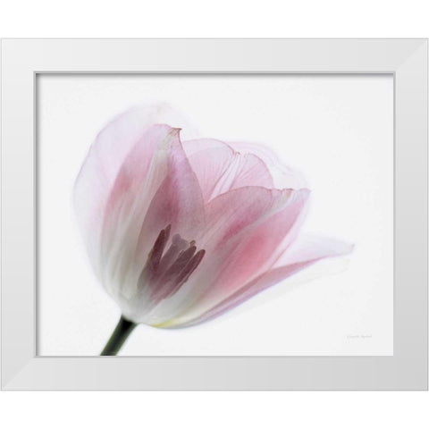 Inside Out IV White Modern Wood Framed Art Print by Urquhart, Elizabeth
