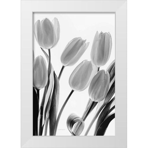 Shadows and Light I White Modern Wood Framed Art Print by Urquhart, Elizabeth