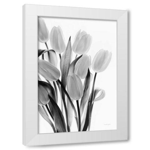 Shadows and Light II White Modern Wood Framed Art Print by Urquhart, Elizabeth
