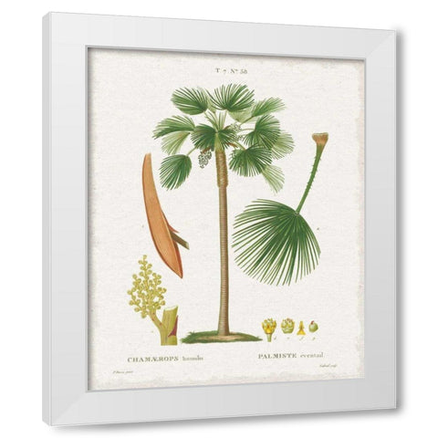 Island Botanicals I White Modern Wood Framed Art Print by Wild Apple Portfolio