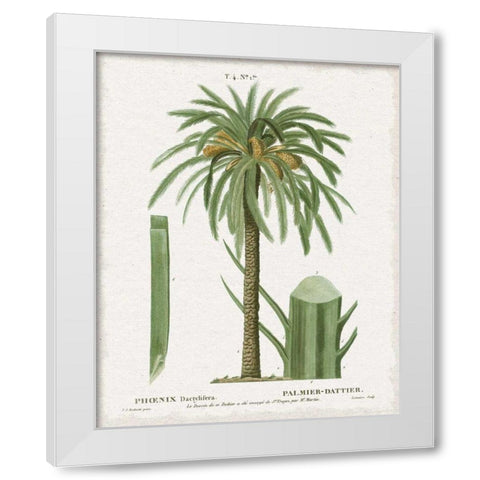 Island Botanicals II White Modern Wood Framed Art Print by Wild Apple Portfolio