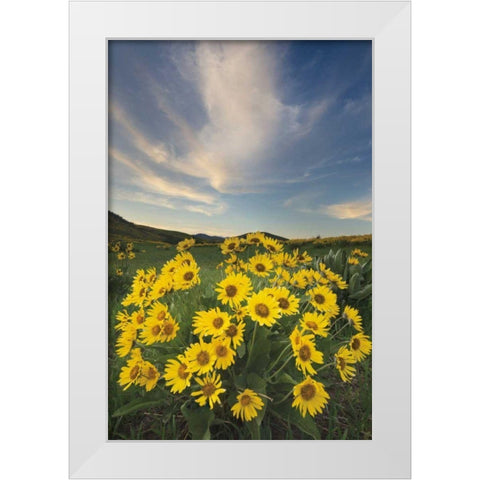 Methow Valley Wildflowers II White Modern Wood Framed Art Print by Audit, Lisa