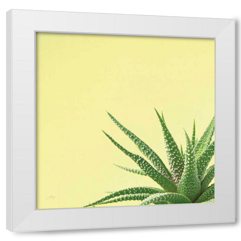 Succulent Simplicity II White Modern Wood Framed Art Print by Bradley, Felicity