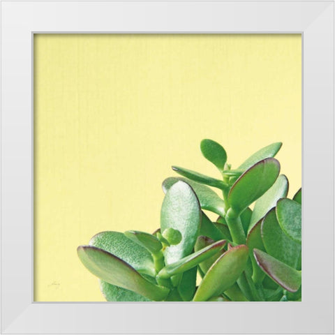 Succulent Simplicity IV White Modern Wood Framed Art Print by Bradley, Felicity