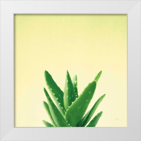 Succulent Simplicity V White Modern Wood Framed Art Print by Bradley, Felicity