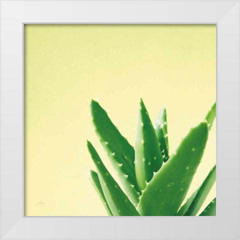 Succulent Simplicity VI White Modern Wood Framed Art Print by Bradley, Felicity