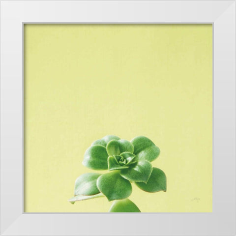 Succulent Simplicity VII White Modern Wood Framed Art Print by Bradley, Felicity