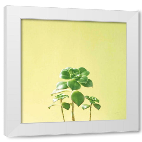 Succulent Simplicity IX White Modern Wood Framed Art Print by Bradley, Felicity