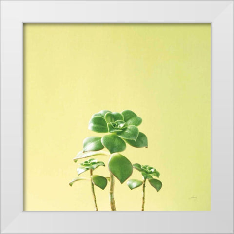Succulent Simplicity IX White Modern Wood Framed Art Print by Bradley, Felicity
