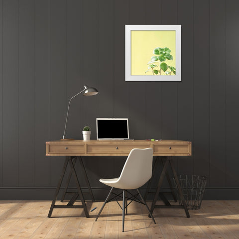 Succulent Simplicity X White Modern Wood Framed Art Print by Bradley, Felicity