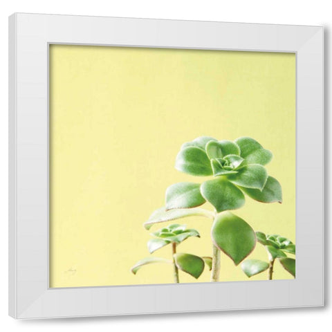 Succulent Simplicity X White Modern Wood Framed Art Print by Bradley, Felicity