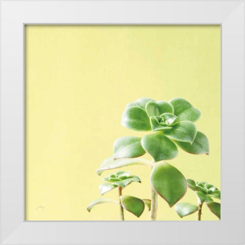 Succulent Simplicity X White Modern Wood Framed Art Print by Bradley, Felicity