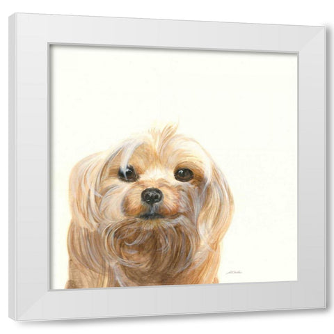 Little Scruff Gizmo White Modern Wood Framed Art Print by Ducklow, Patsy