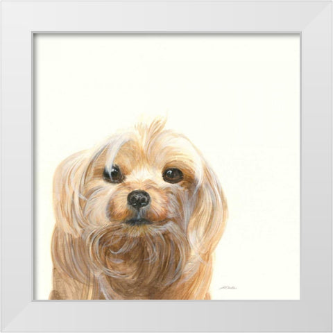 Little Scruff Gizmo White Modern Wood Framed Art Print by Ducklow, Patsy