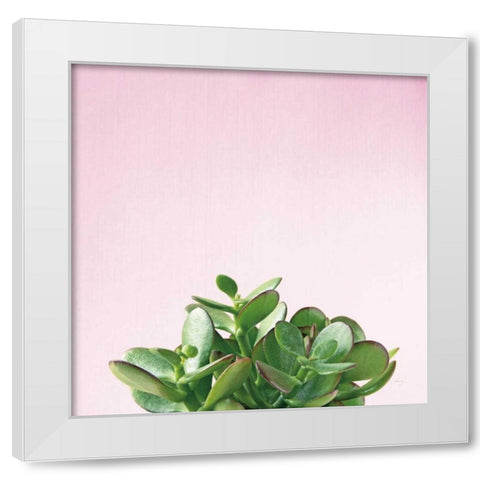 Succulent Simplicity III on Pink White Modern Wood Framed Art Print by Bradley, Felicity
