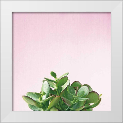 Succulent Simplicity III on Pink White Modern Wood Framed Art Print by Bradley, Felicity