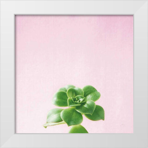 Succulent Simplicity VII on Pink White Modern Wood Framed Art Print by Bradley, Felicity