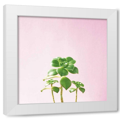 Succulent Simplicity IX on Pink White Modern Wood Framed Art Print by Bradley, Felicity
