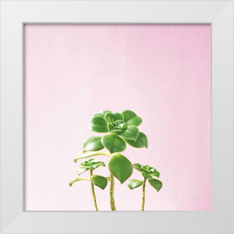 Succulent Simplicity IX on Pink White Modern Wood Framed Art Print by Bradley, Felicity