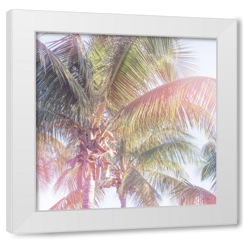 Dream Palm II White Modern Wood Framed Art Print by Schlabach, Sue