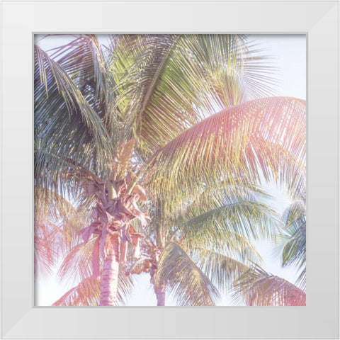 Dream Palm II White Modern Wood Framed Art Print by Schlabach, Sue