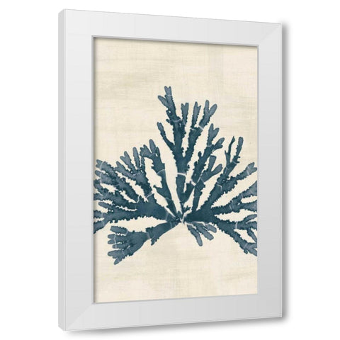 Pacific Sea Mosses IV No Map Crop White Modern Wood Framed Art Print by Wild Apple Portfolio