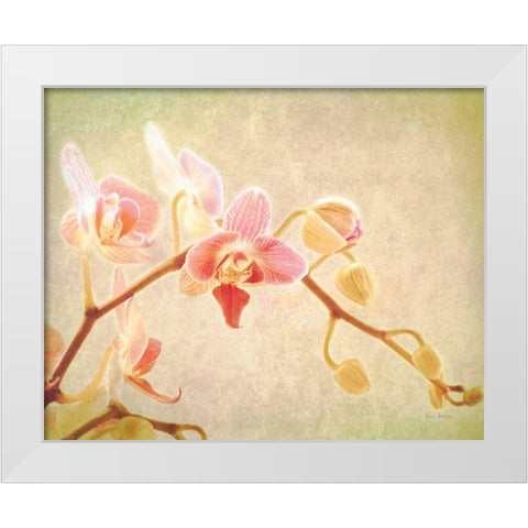 Perfume White Modern Wood Framed Art Print by Bevan, Keri