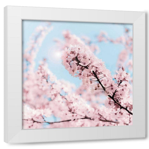 Cherry Blossom Clouds White Modern Wood Framed Art Print by Bevan, Keri