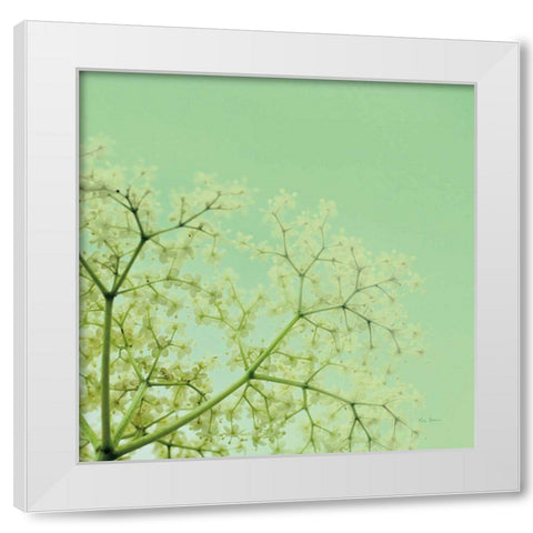 Cuckoo Flowers White Modern Wood Framed Art Print by Bevan, Keri