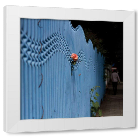 Rose on Pentonville White Modern Wood Framed Art Print by Bevan, Keri