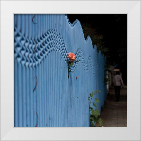 Rose on Pentonville White Modern Wood Framed Art Print by Bevan, Keri