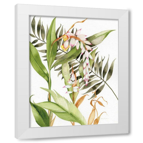 Botanical Shell Ginger Crop White Modern Wood Framed Art Print by McKenna, Kathleen Parr