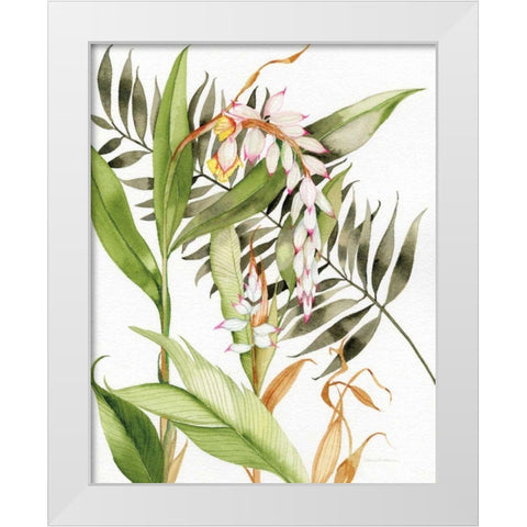 Botanical Shell Ginger Crop White Modern Wood Framed Art Print by McKenna, Kathleen Parr