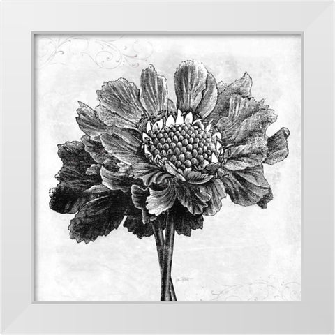 Spa Botanical I BW White Modern Wood Framed Art Print by Pertiet, Katie