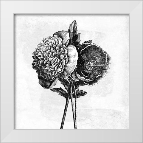 Spa Botanical III BW White Modern Wood Framed Art Print by Pertiet, Katie