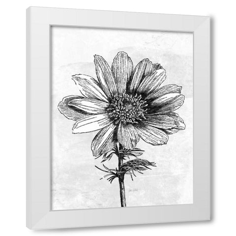 Spa Botanical IV BW Crop White Modern Wood Framed Art Print by Pertiet, Katie