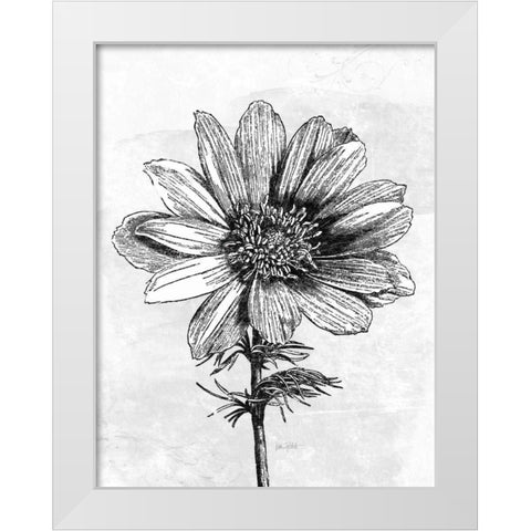 Spa Botanical IV BW Crop White Modern Wood Framed Art Print by Pertiet, Katie