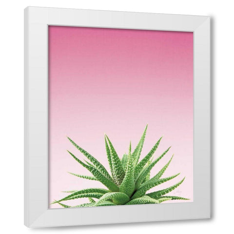 Succulent Simplicity I Pink Ombre Crop White Modern Wood Framed Art Print by Bradley, Felicity