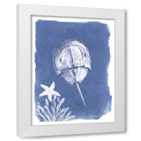 Coastal Sea Life VI White Modern Wood Framed Art Print by Grove, Beth