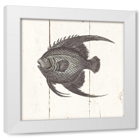 Fish Sketches IV Shiplap White Modern Wood Framed Art Print by Wild Apple Portfolio