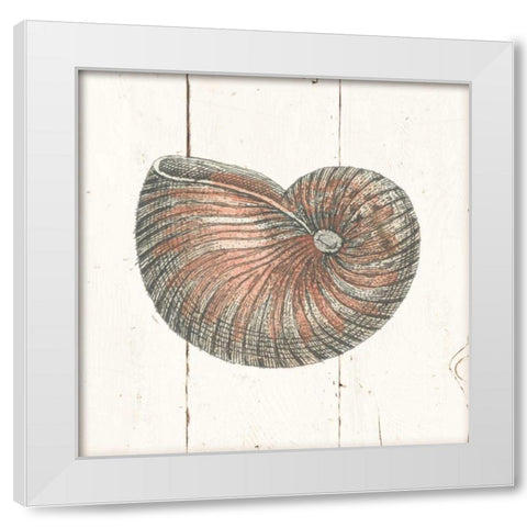 Shell Sketches III Shiplap White Modern Wood Framed Art Print by Wild Apple Portfolio
