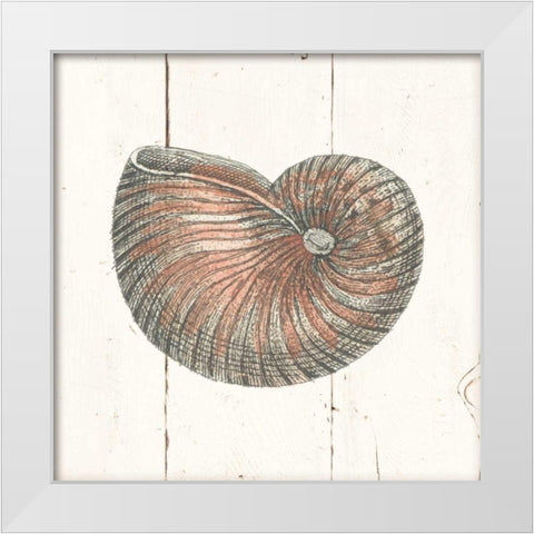 Shell Sketches III Shiplap White Modern Wood Framed Art Print by Wild Apple Portfolio